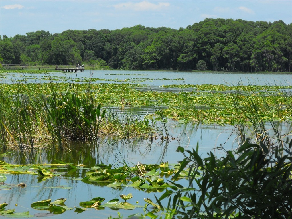 S Us Hwy 27 & Howard Rd Leesburg FL 34748 - LAKE HARRIS - HARRIS CHAIN G5090064 image22