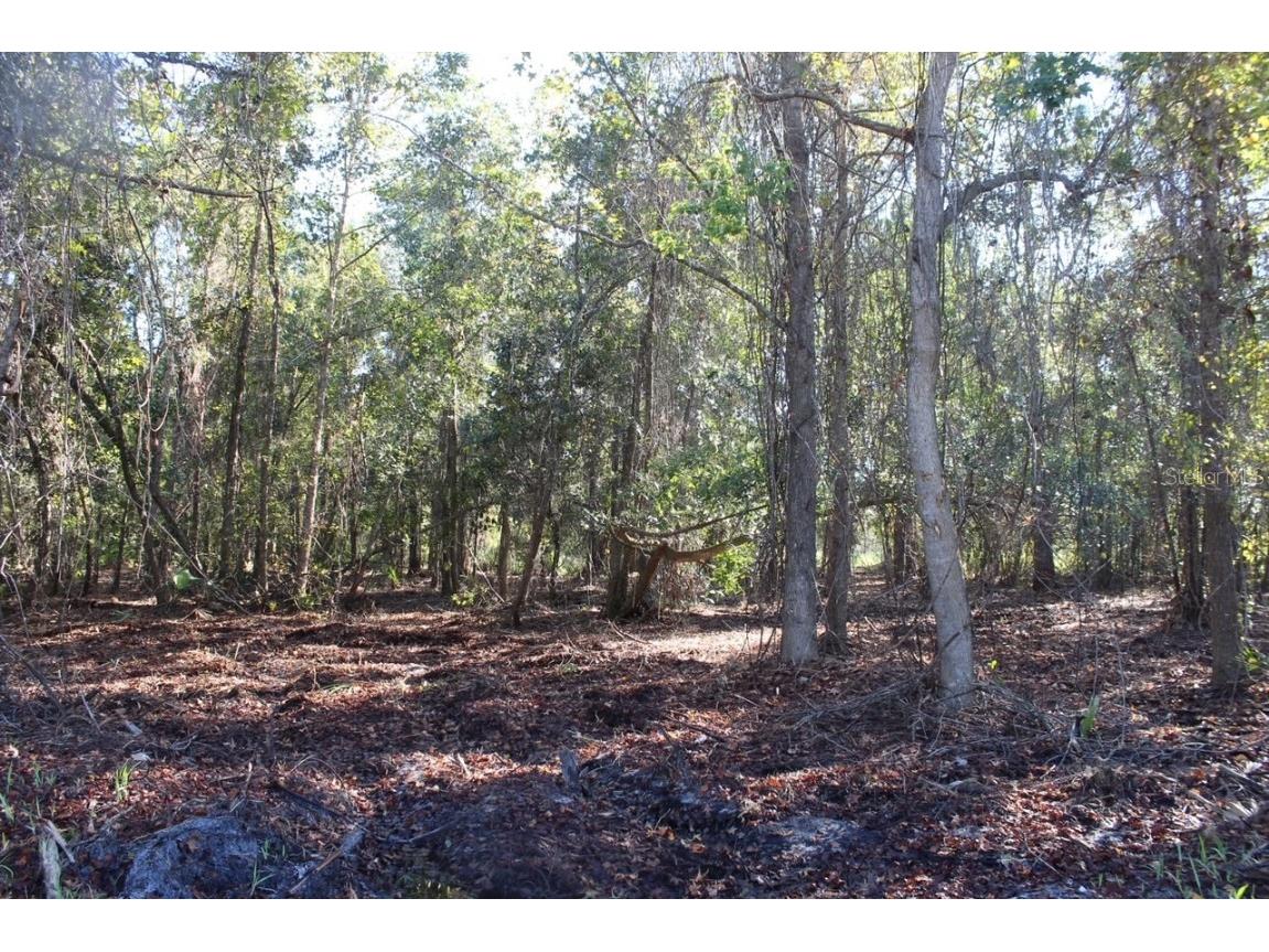 S Volusia Avenue Pierson FL 32180 V4925424 image1