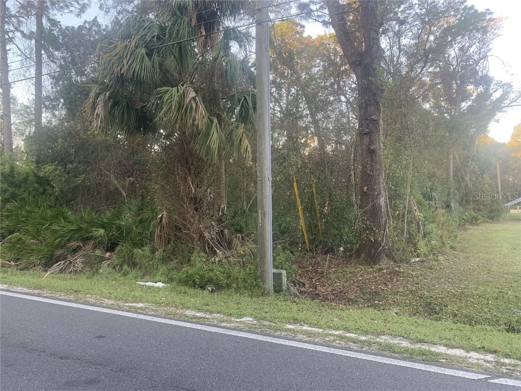 S Volusia Avenue Pierson FL 32180 V4941582 image1