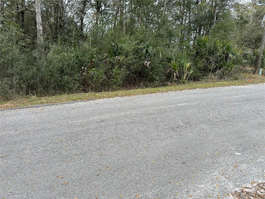 S.W. 189th Terrace Dunnellon FL 34432 U8230721 image1