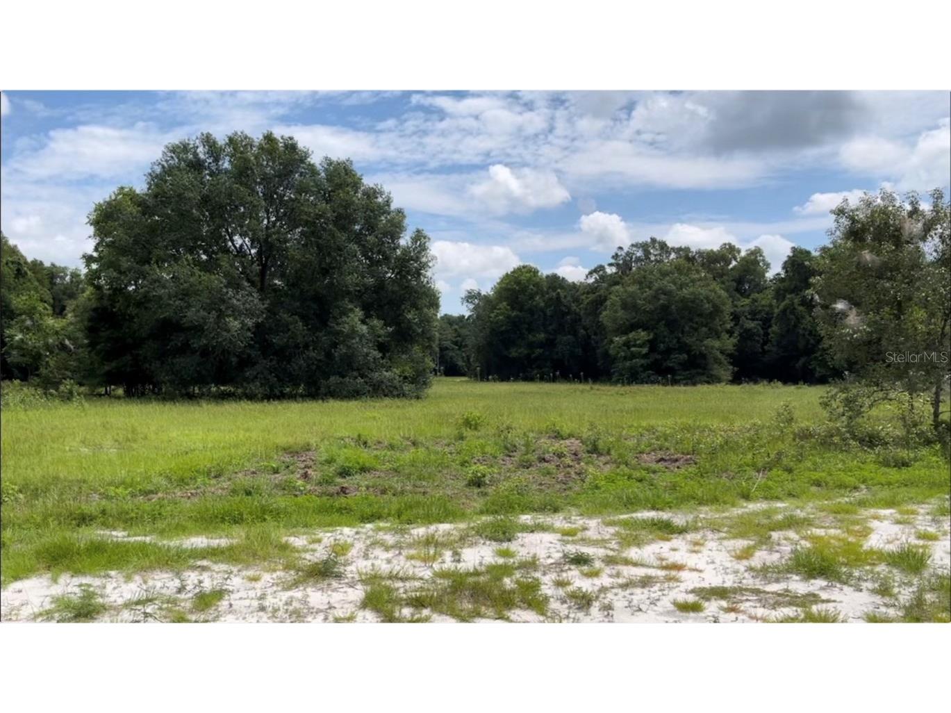 S11-049 S11-003 Webster FL 33597 O6172268 image1
