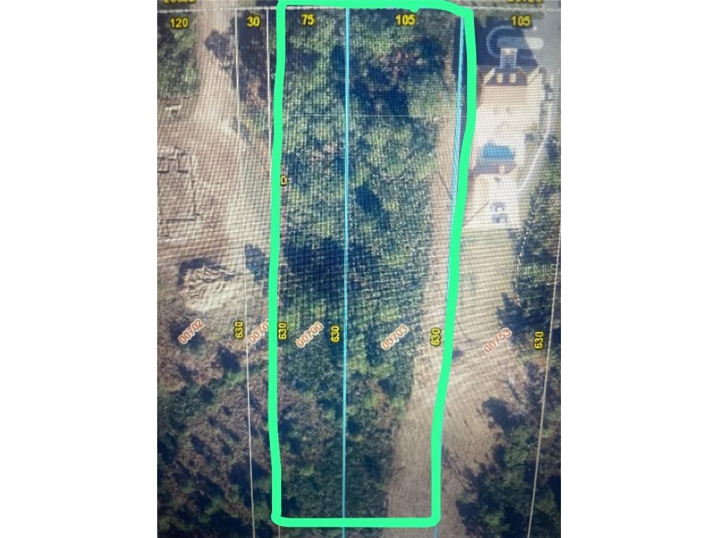 Sabal Orlando FL 32833 R4910168 image3