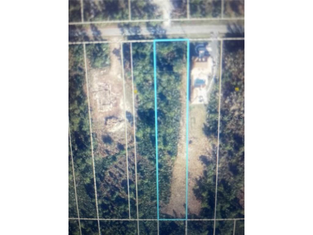 Sabal Orlando FL 32833 R4910168 image4