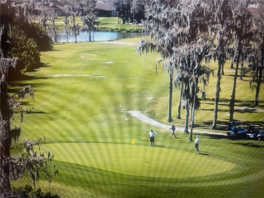 Sabal Orlando FL 32833 R4910168 image5