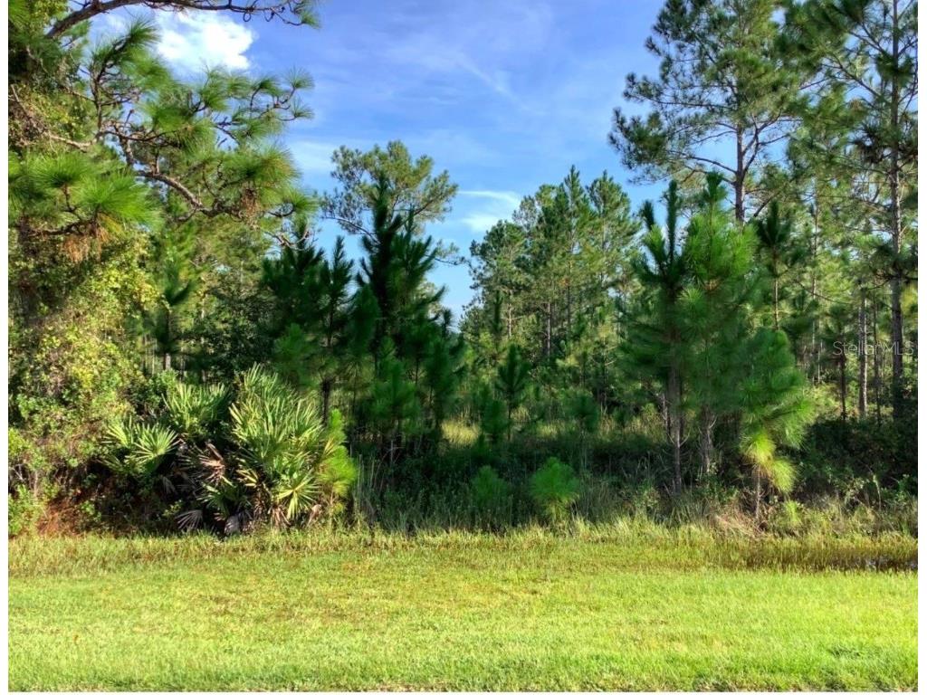 Sabal Street Orlando FL 32833 O6314016 image1