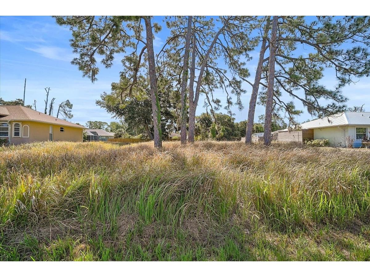 Sabrina Terrace North Port FL 34286 N6144146 image1