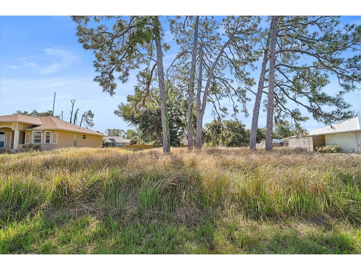 Sabrina Terrace North Port FL 34286 N6144146 image6