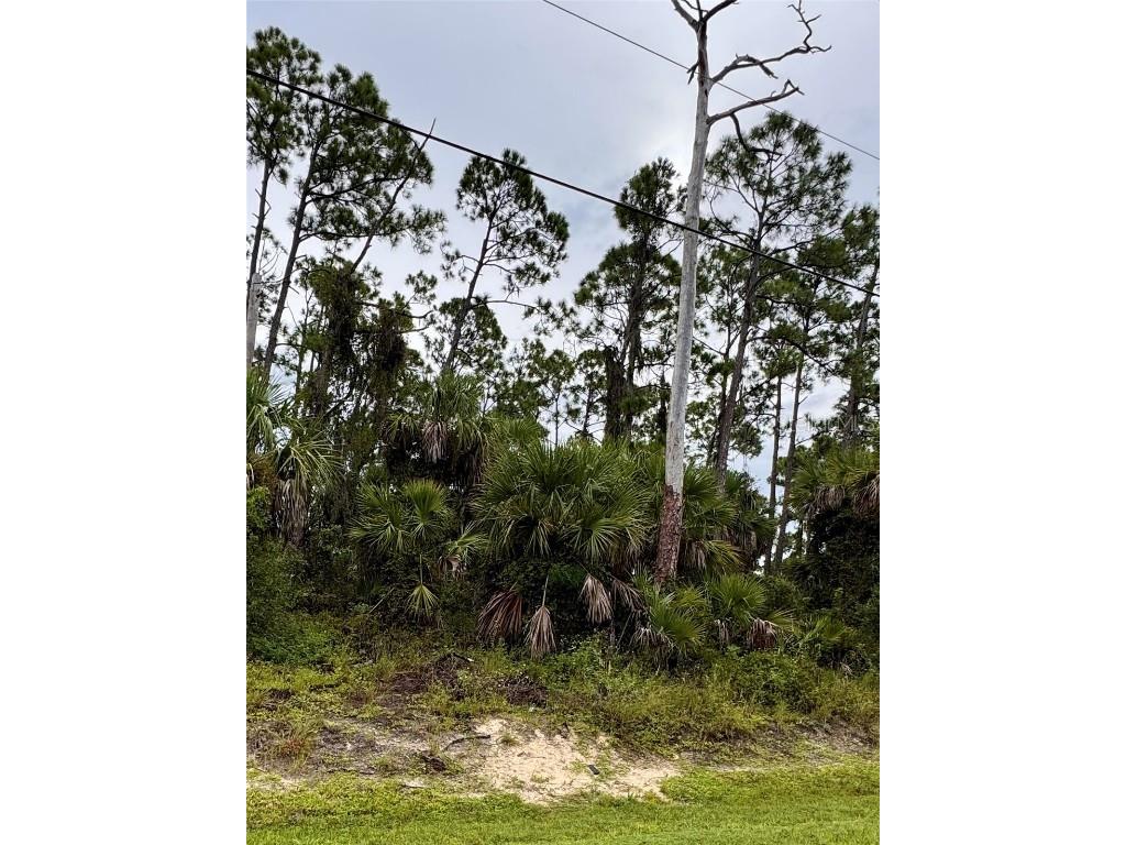 Sadnet Lane North Port FL 34286 - CREIGHTON WATERWAY C7514621 image3