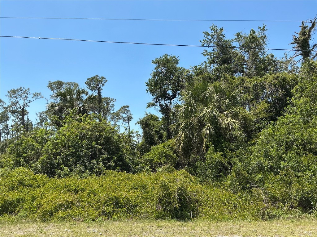 Sadnet Lane North Port FL 34286 OM702196 image1