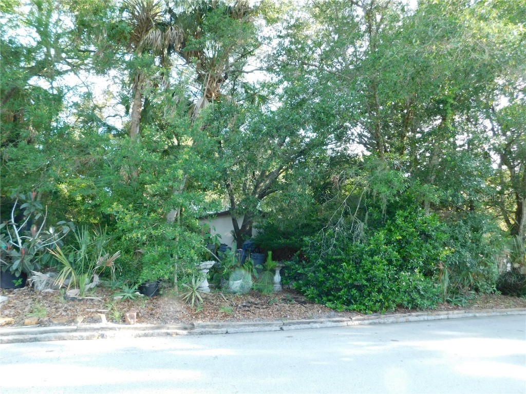  Safety Harbor FL 34695 U8207111 image1