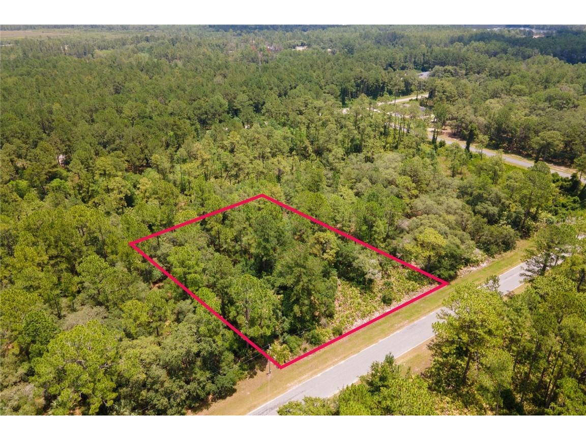 Saffron Avenue Eustis FL 32736 G5069901 image1