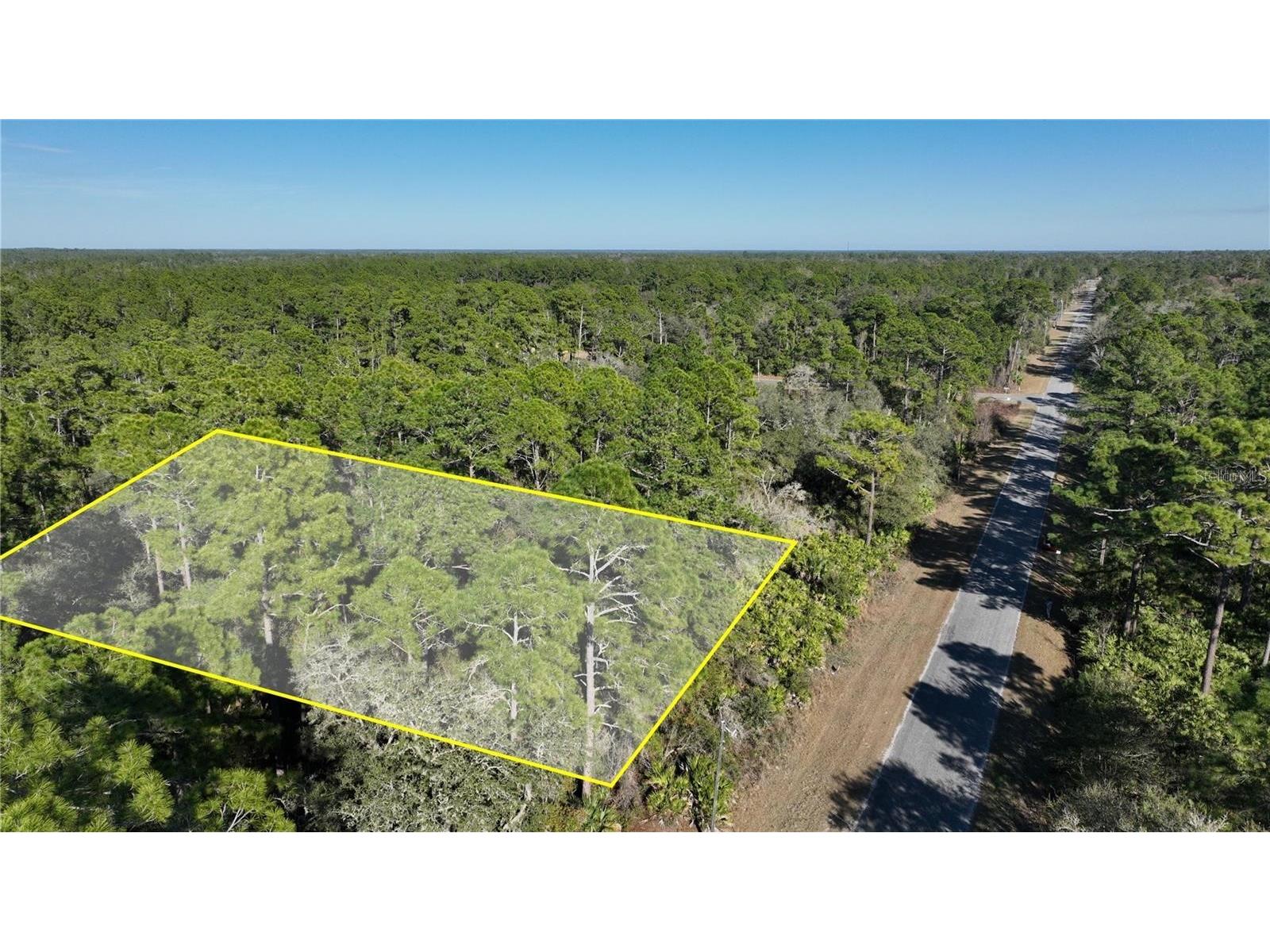 Saffron Avenue Eustis FL 32736 O6380462 image1