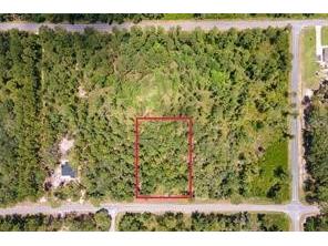 Saffron Avenue Eustis FL 32736 O6380462 image4