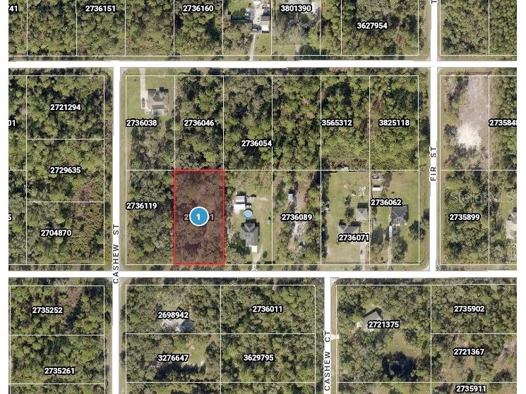 Saffron Avenue Eustis FL 32736 V4946836 image1