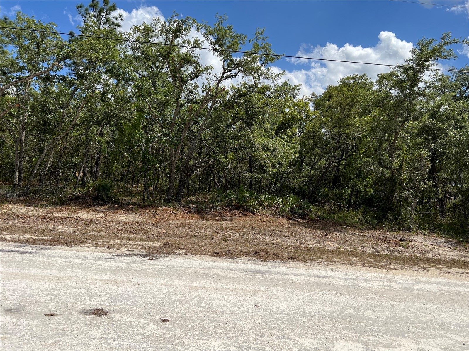 Sage Thrasher Ave Weeki Wachee FL 34614 G5111617 image1