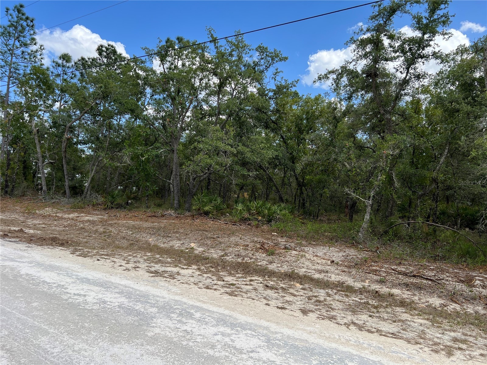 Sage Thrasher Ave Weeki Wachee FL 34614 G5111617 image2