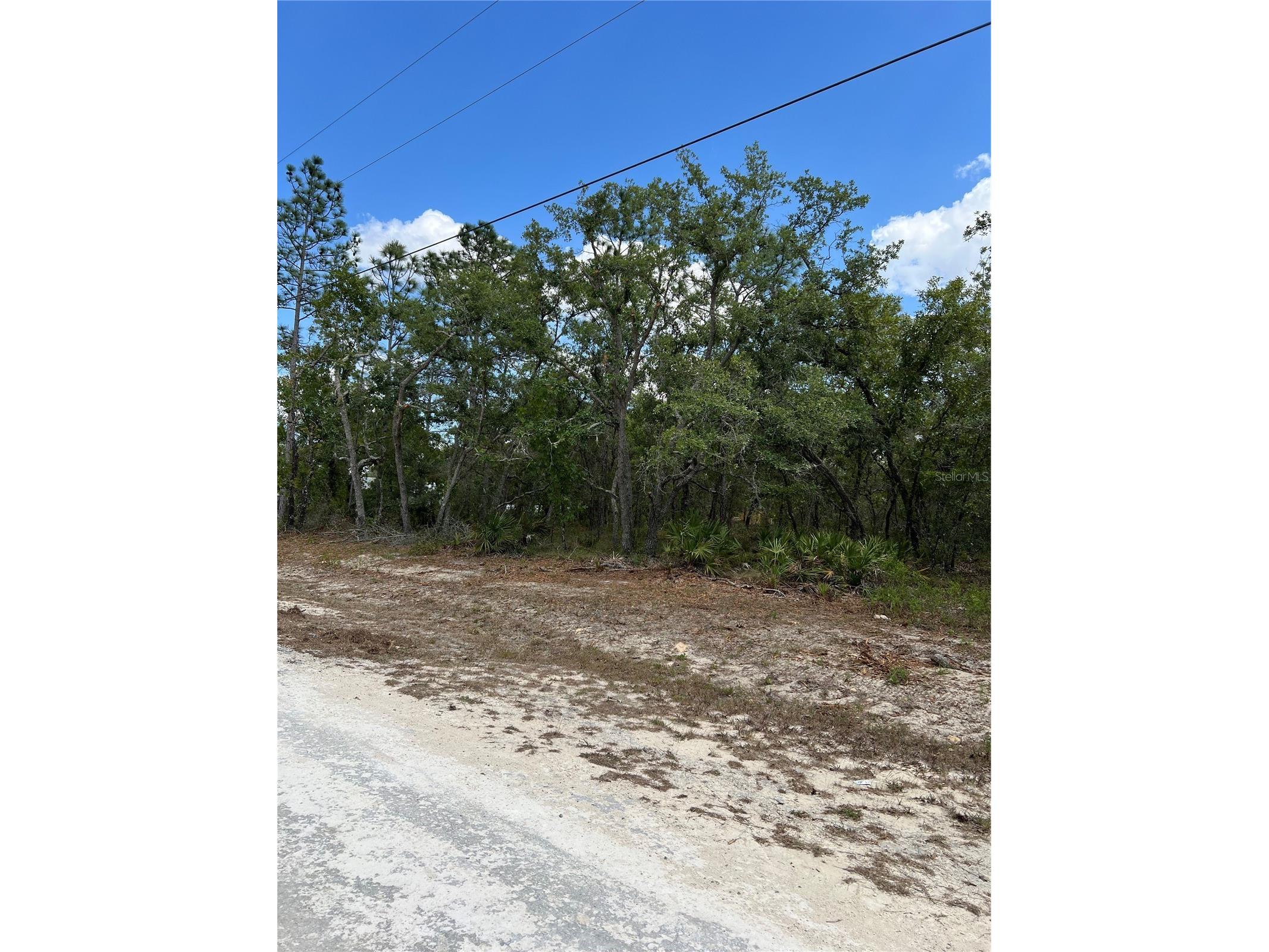 Sage Thrasher Ave Weeki Wachee FL 34614 G5111617 image5