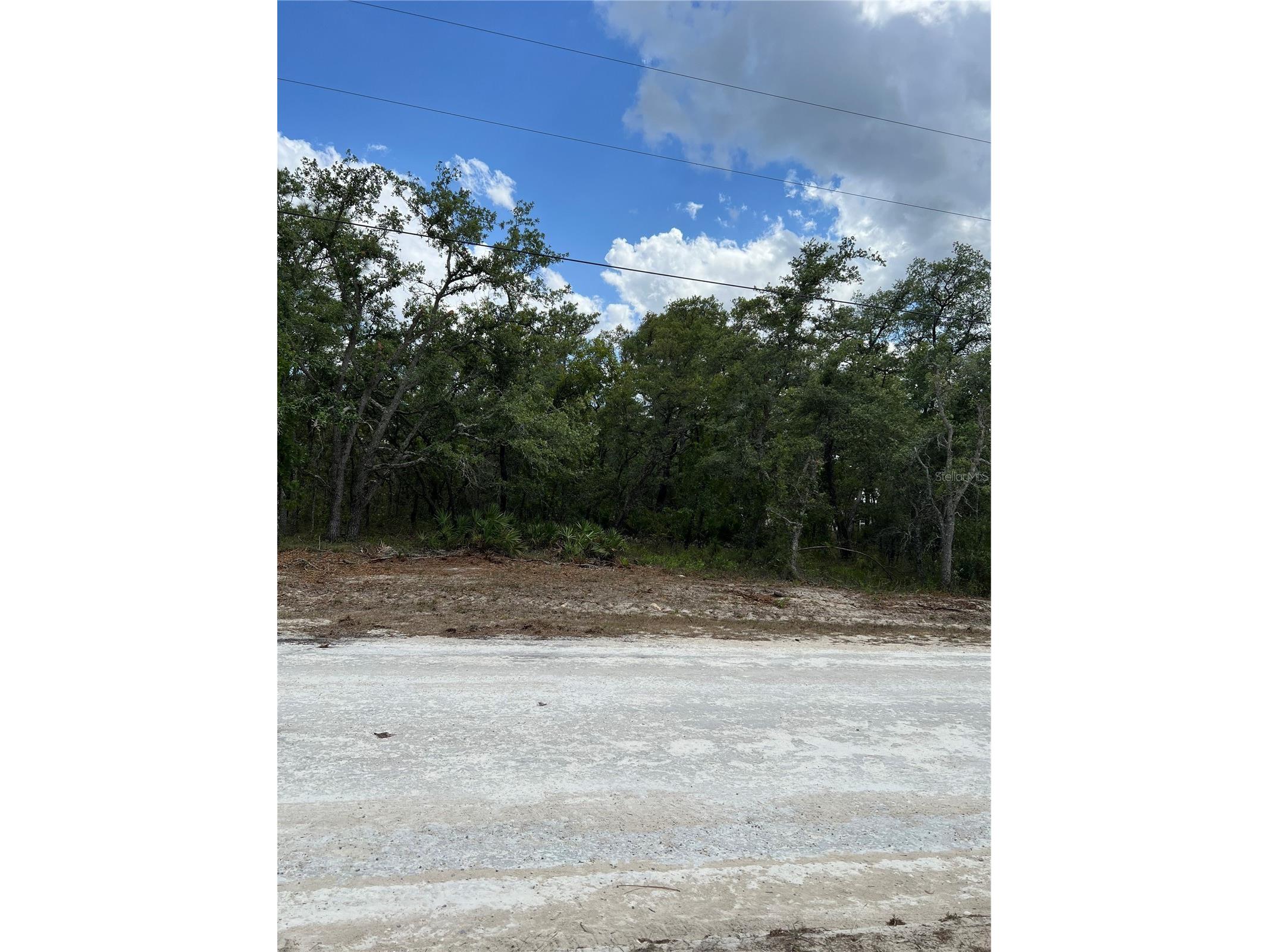 Sage Thrasher Ave Weeki Wachee FL 34614 G5111617 image6