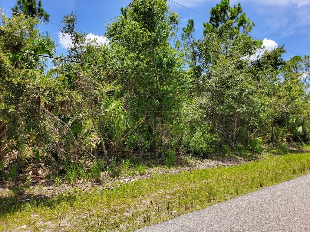 Sago Palm Road North Port FL 34291 D6131573 image1
