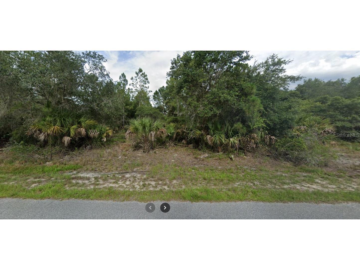 Sago Palm Road North Port FL 34291 C7497574 image1