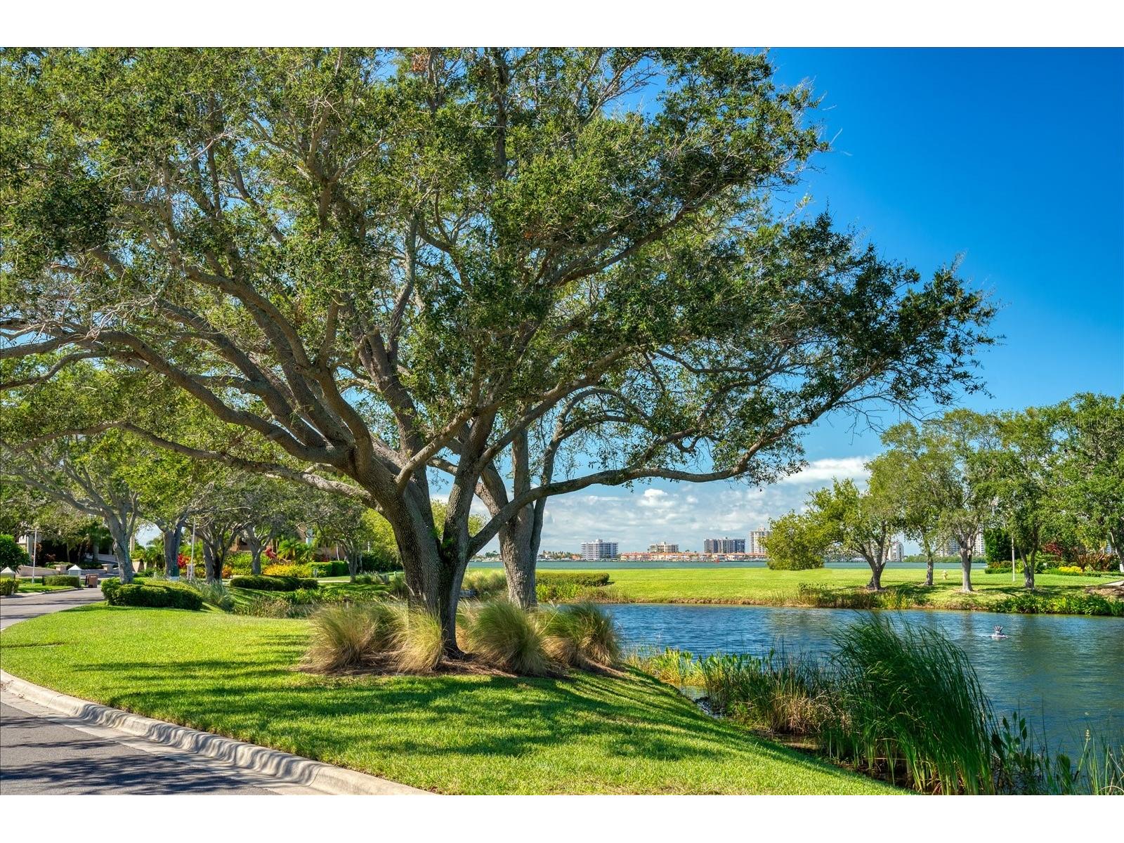 Saint Andrews Drive Belleair FL 33756 - CLEARWATER HARBOR TB8354730 image20