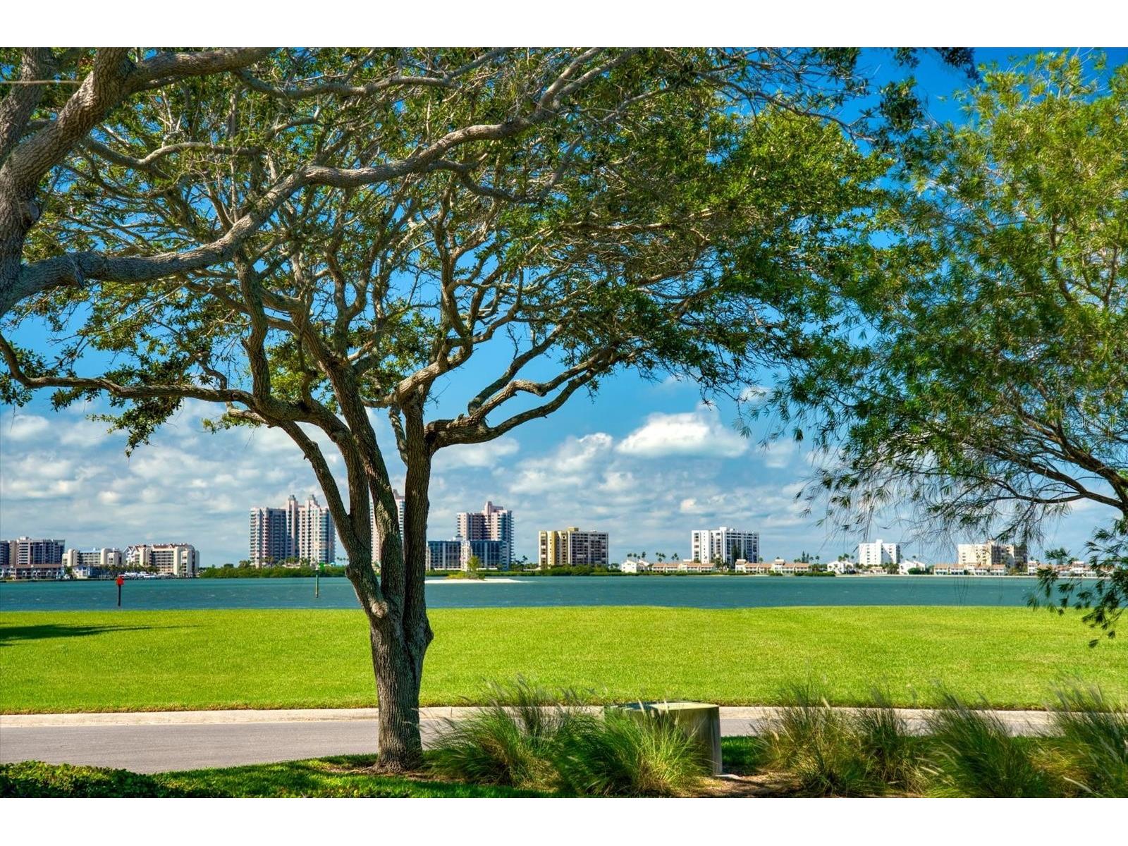 Saint Andrews Drive Belleair FL 33756 - CLEARWATER HARBOR TB8354730 image3