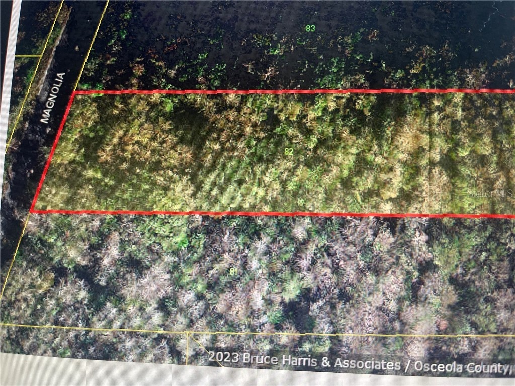  Saint Cloud FL 34773 U8217797 image1