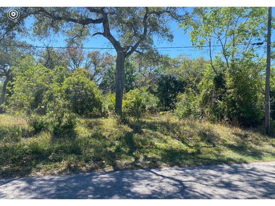Saint Marks Ct Lot 45 Hudson FL 34667 U8193794 image1