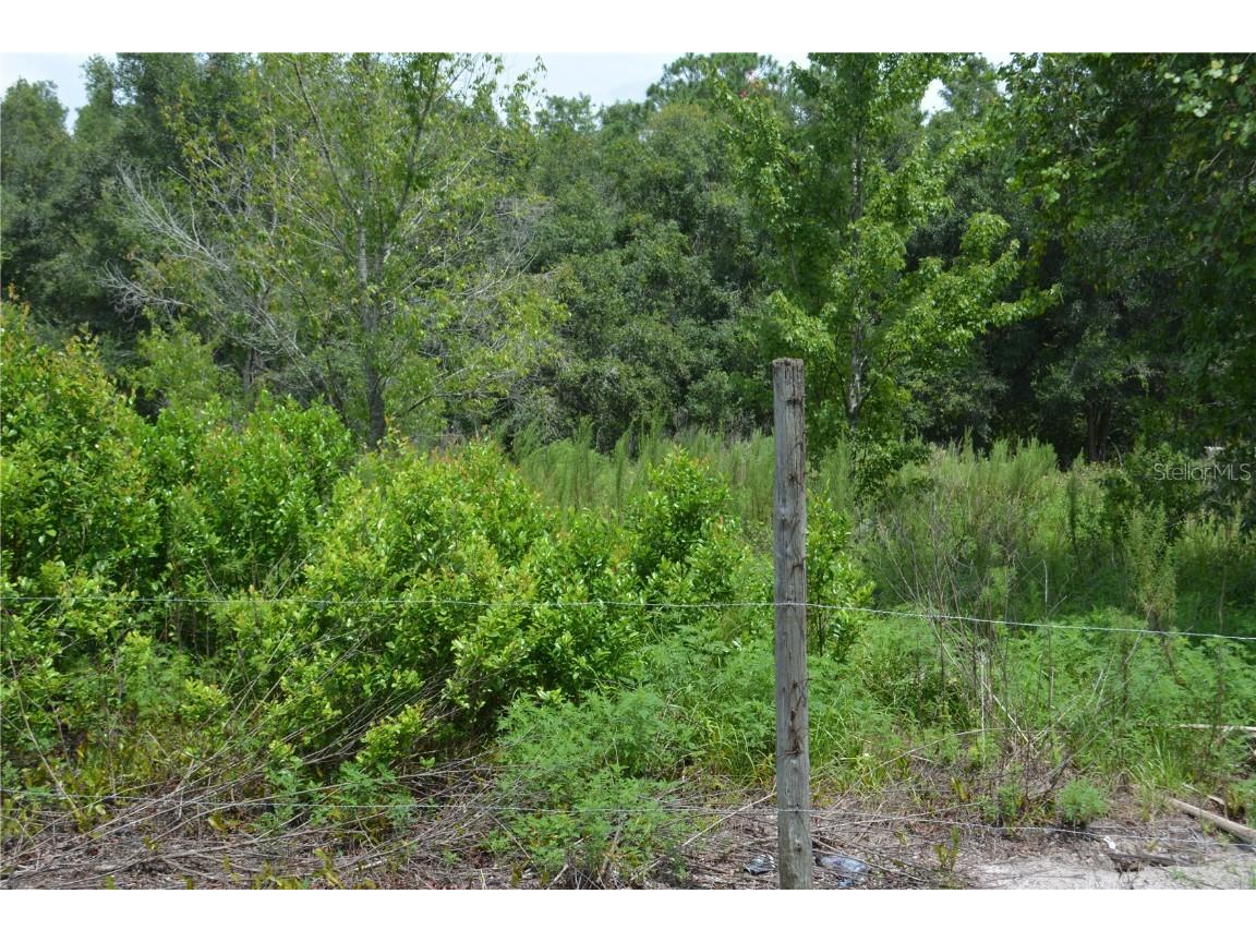 Saint Marks Land O Lakes FL 34638 U8154363 image1