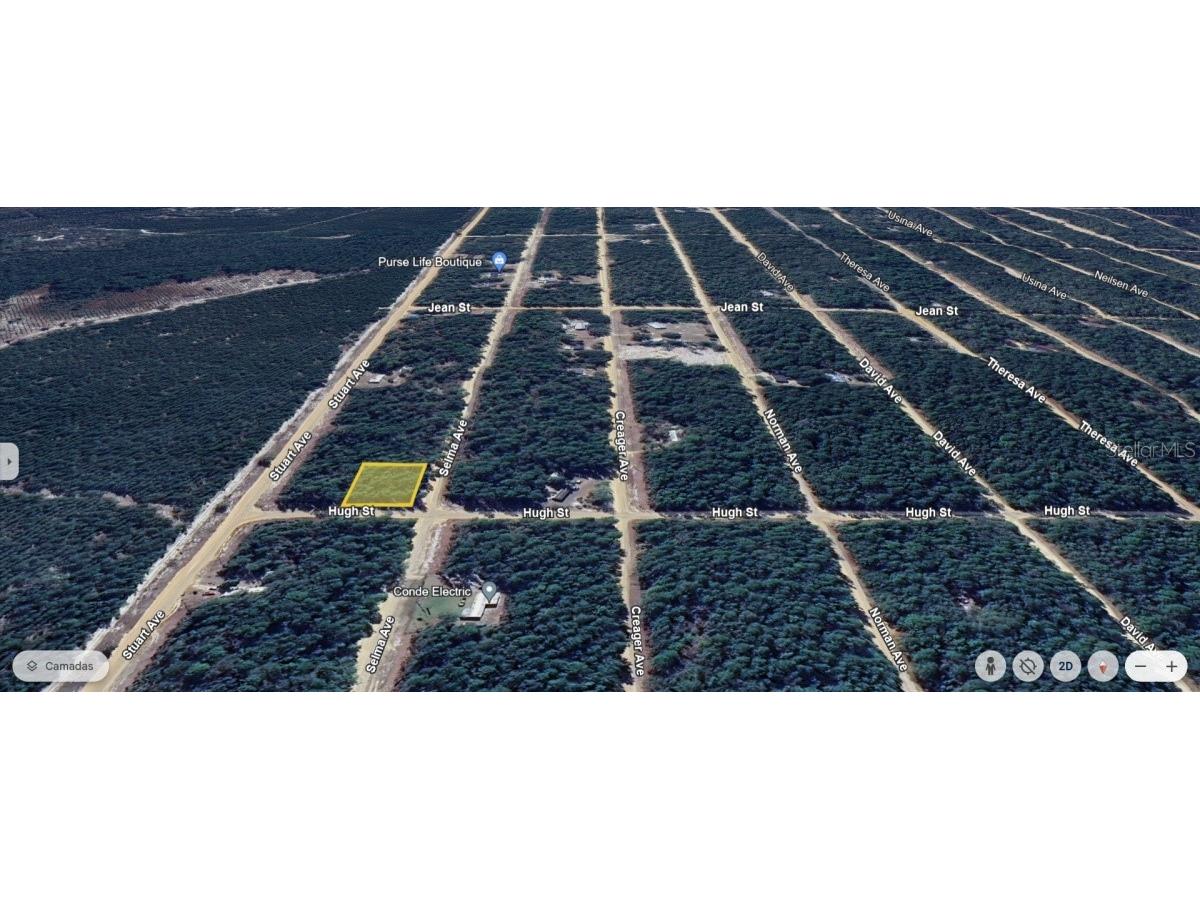 Salem Avenue Interlachen FL 32148 A4628812 image1