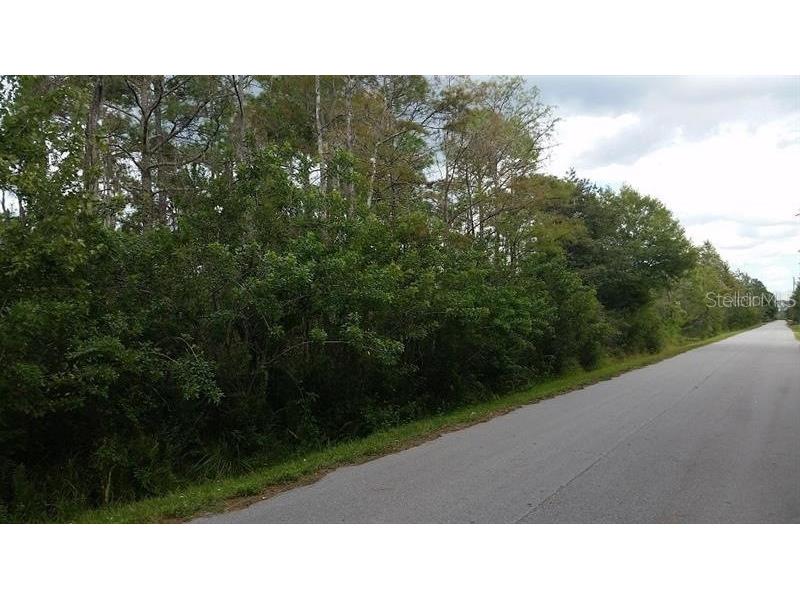 Salem Road Harmony FL 34773 O6312553 image1