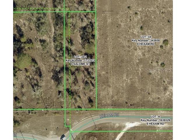 Salome Street Brooksville FL 34614 W7886225 image4