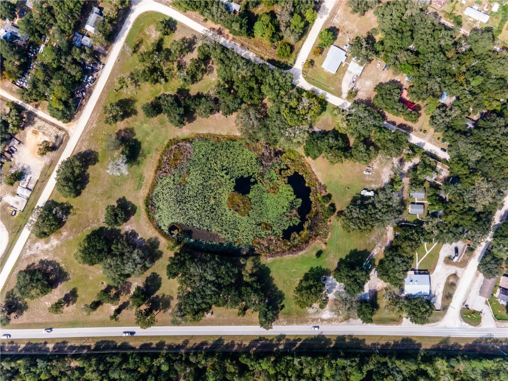  Salt Springs FL 32134 OM669519 image1