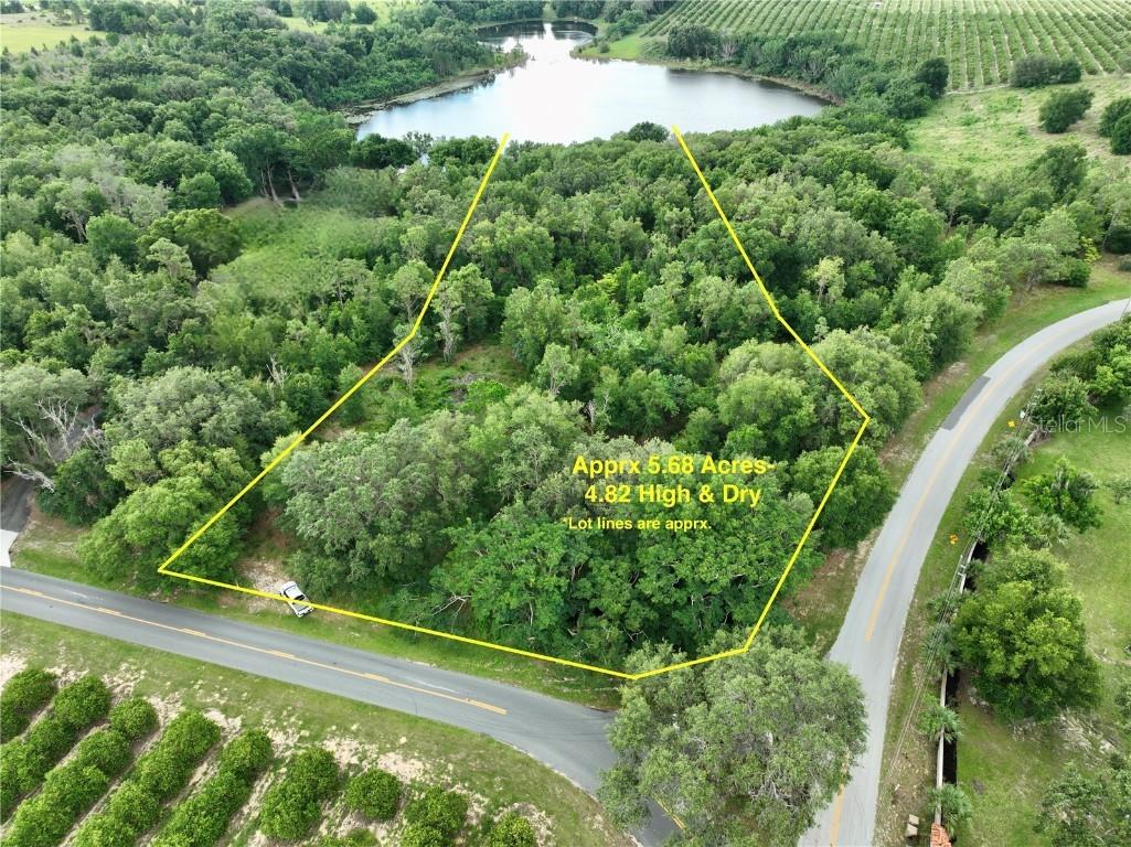 Saltsdale Road Umatilla FL 32784 - PEANUT POND O6113943 image1