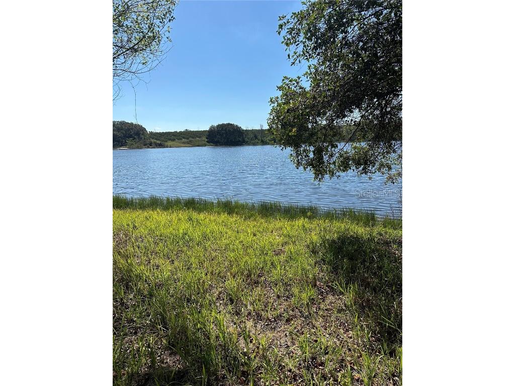 Saltsdale Road Umatilla FL 32784 O6339648 image1