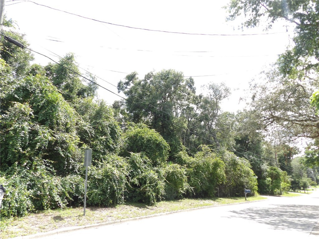 Salvadore Street Deland FL 32720 V4937529 image1