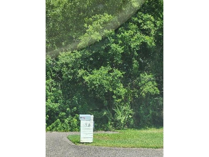 Salvia Street New Port Richey FL 34652 W7856981 image1