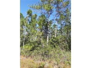 Salyers Road Clermont FL 34714 O6078895 image5