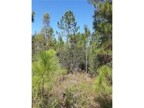 Salyers Road Clermont FL 34714 O6078920 image1