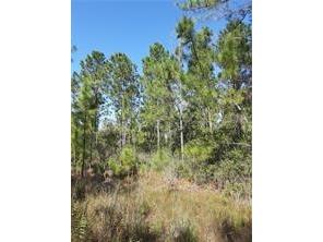 Salyers Road Clermont FL 34714 O6078922 image1