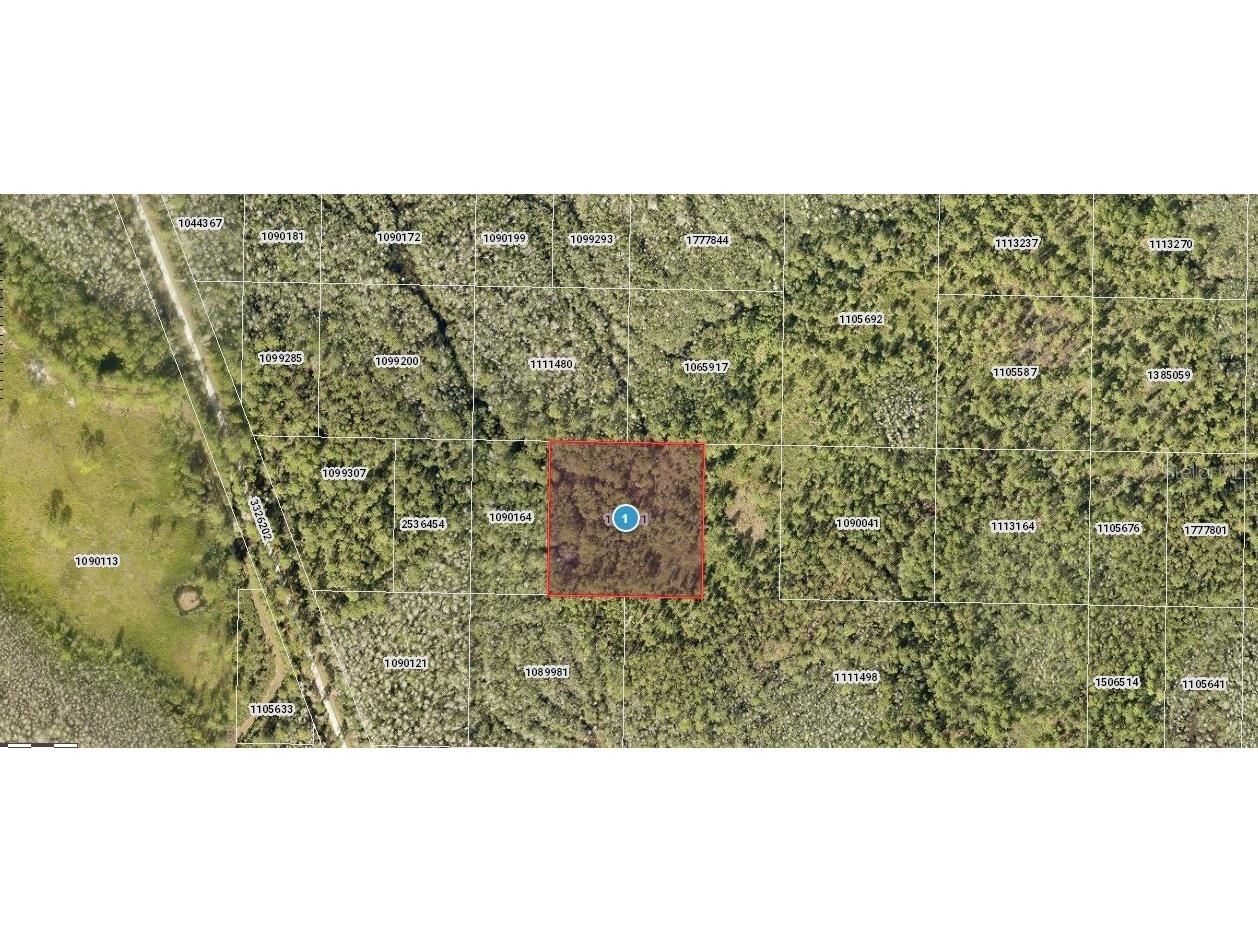 Salyers Road Clermont FL 34714 O6235689 image1