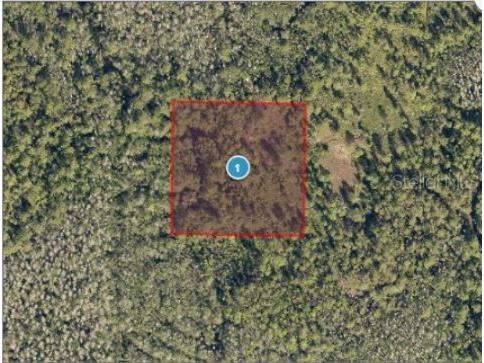 Salyers Road Clermont FL 34714 O6235689 image2