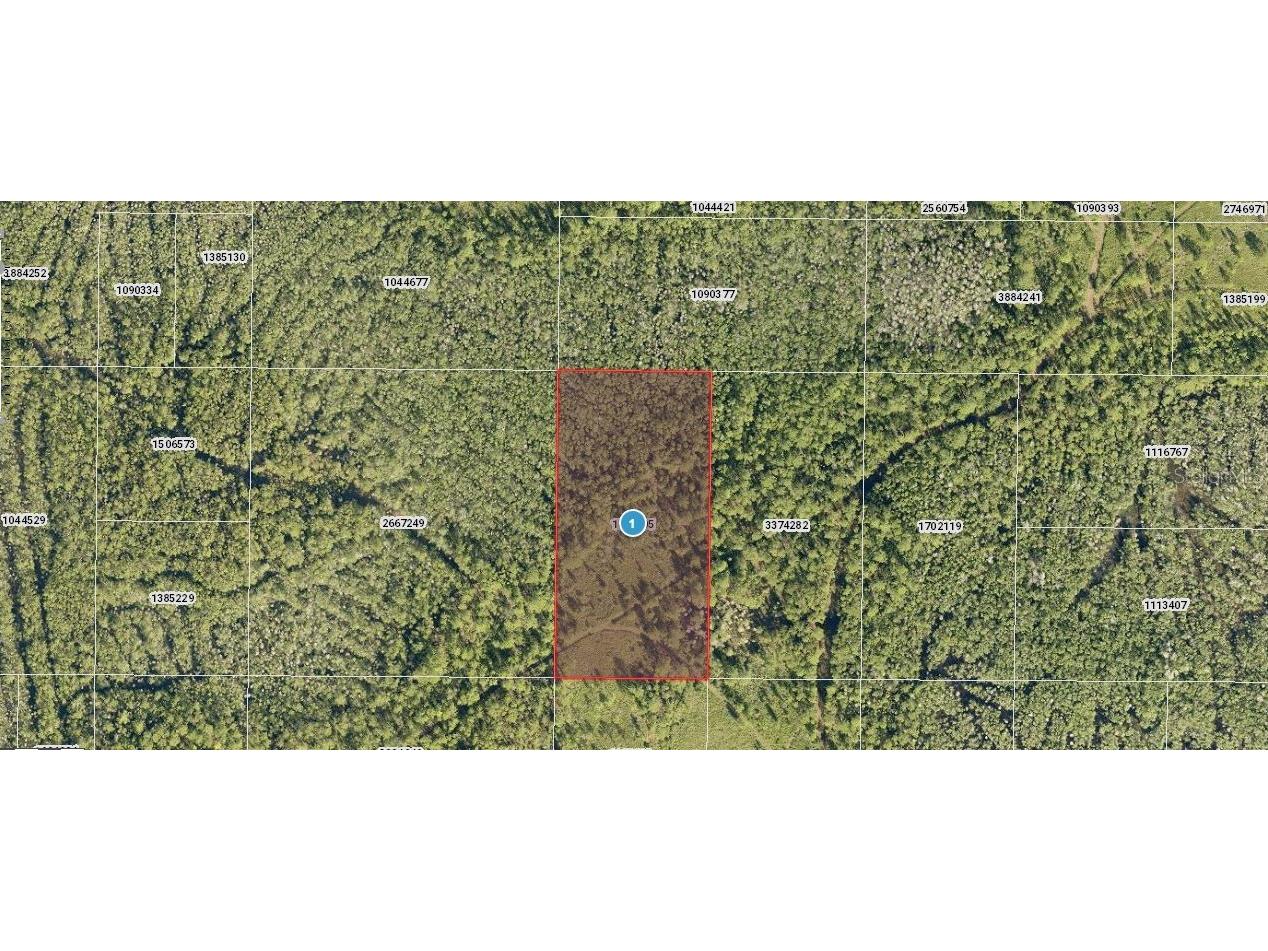 Salyers Road Clermont FL 34714 O6235693 image1