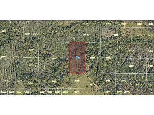 Salyers Road Clermont FL 34714 O6235693 image4