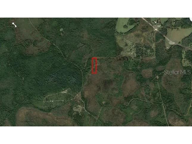 Salyers Road Clermont FL 34714 O6235693 image5