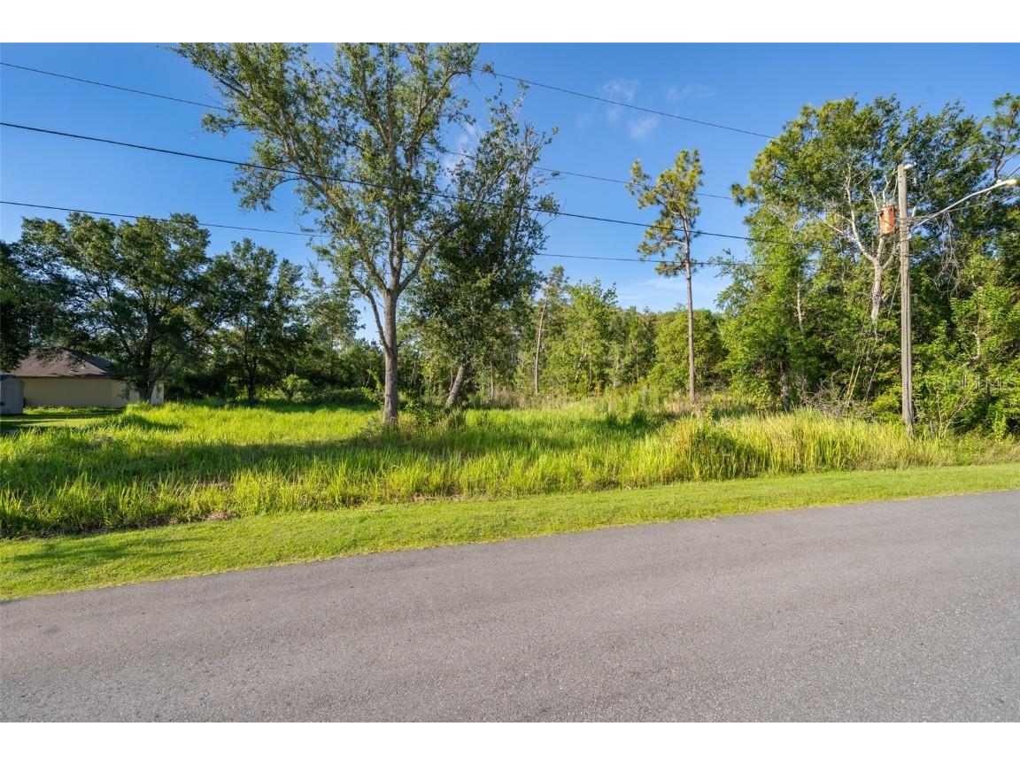 San Benito Lot #5 Way Kissimmee FL 34758 S5129579 image11