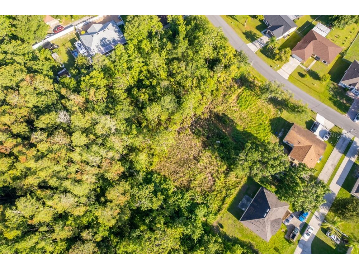 San Benito Lot #5 Way Kissimmee FL 34758 S5129579 image6