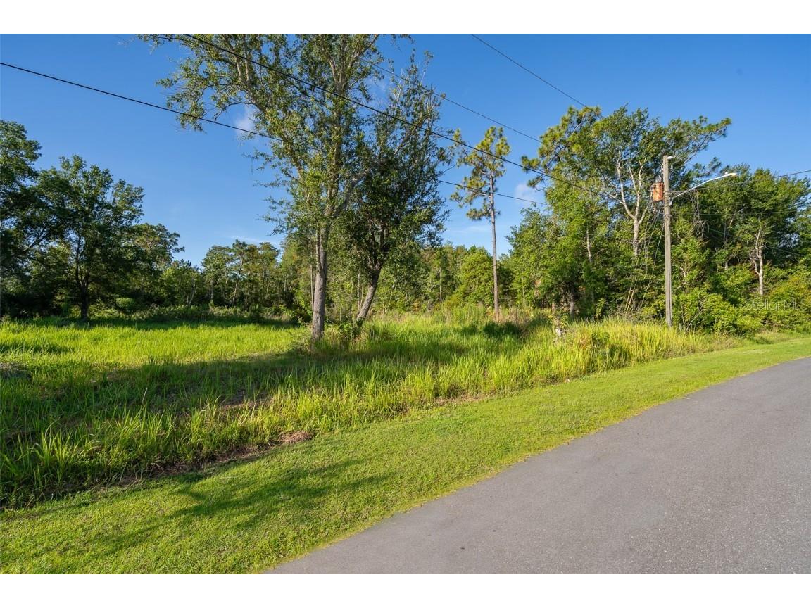 San Benito Lot #5 Way Kissimmee FL 34758 S5129579 image9