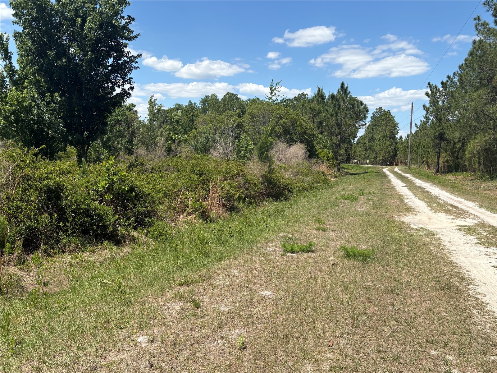 San Juan Ave #LOT 29 Polk City FL 33868 G5111368 image6