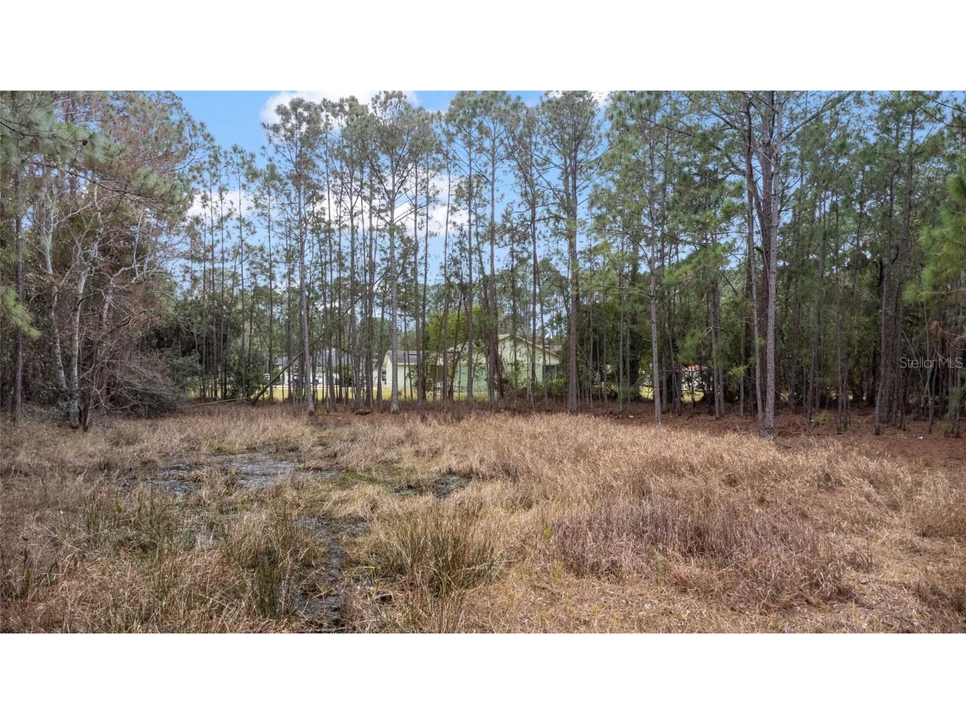 Sanctuary Avenue Debary FL 32713 O6276050 image1